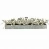 Fraser Hill Farm 42-inch 5-Candle Holder Centerpiece With White Berries In Wooden Box