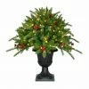 Fraser Hill Farm 2-Ft. Porch Tree In Black Pot With Red Berries And Warm White Lights