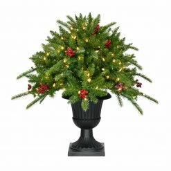 Fraser Hill Farm 2-Ft. Porch Tree In Black Pot With Red Berries And Warm White Lights