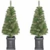 Fraser Hill Farm Set Of 2, Porch Accent Tree In Black Pot,