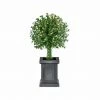 Fraser Hill Farm 2-Ft. Boxwood Ball Topiary With Black Pot And Warm White LED Lights