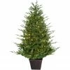 Fraser Hill Farm Adirondack Potted Christmas Tree Décor, Various Sizes & Lighting Options