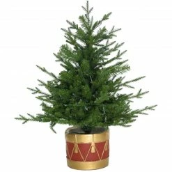 Fraser Hill Farm Adirondack Potted Christmas Tree Décor, Various Sizes & Lighting Options -Christmas store unnamed file 3099
