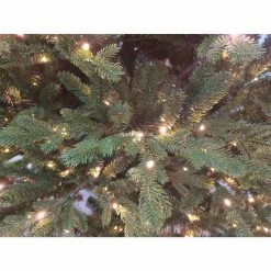 Fraser Hill Farm Oregon Pine Christmas Tree -Christmas store unnamed file 3211