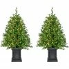 Fraser Hill Farm Boxwood Porch Tree In Black Pot With Warm White Lights, Set Of 2