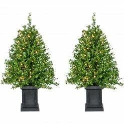 Fraser Hill Farm Boxwood Porch Tree In Black Pot With Warm White Lights, Set Of 2