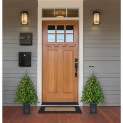 Fraser Hill Farm Boxwood Porch Tree In Black Pot With Warm White Lights, Set Of 2 29 Fraser Hill Farm Boxwood Porch Tree In Black Pot With Warm White Lights, Set Of 2 -Christmas store unnamed file 3228