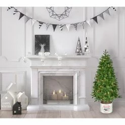 Fraser Hill Farm 4.5-Ft. Porch Tree In Reindeer Pot With Warm White LED Lights -Christmas store unnamed file 352