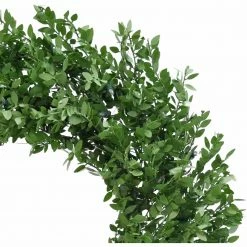 Fraser Hill Farm 24" Boxwood Green Christmas Décor Wreath With Clear LED Lights -Christmas store unnamed file 631