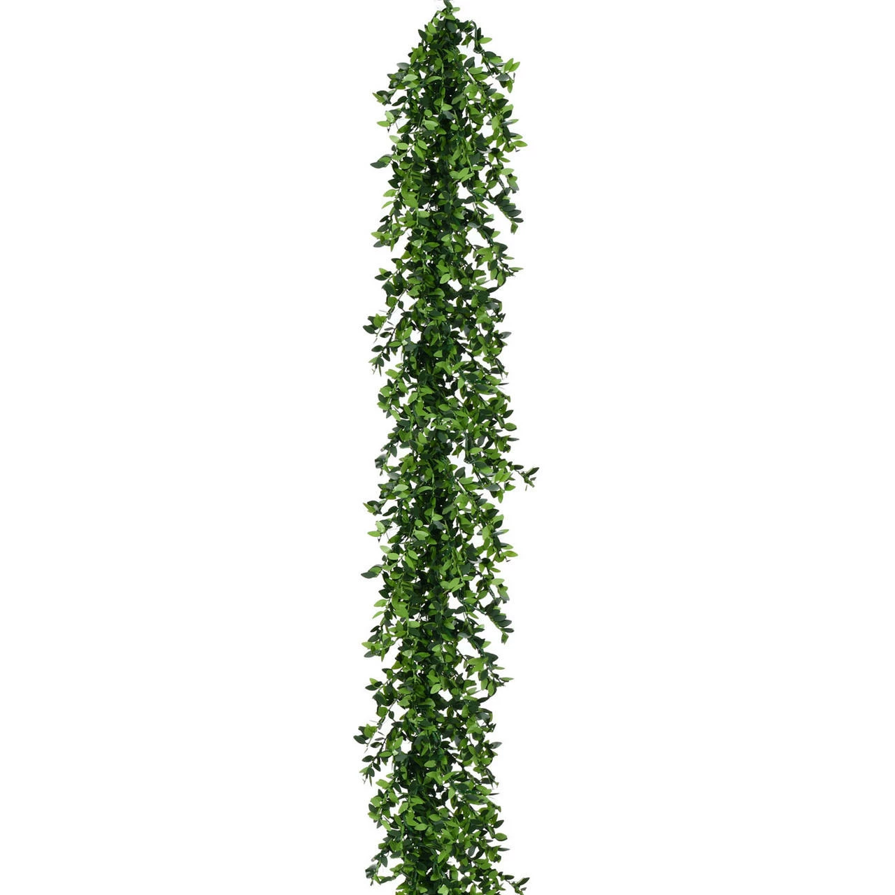 Fraser Hill Farm 9-Ft. Boxwood Decorative Garland 1 Fraser Hill Farm 9-Ft. Boxwood Decorative Garland